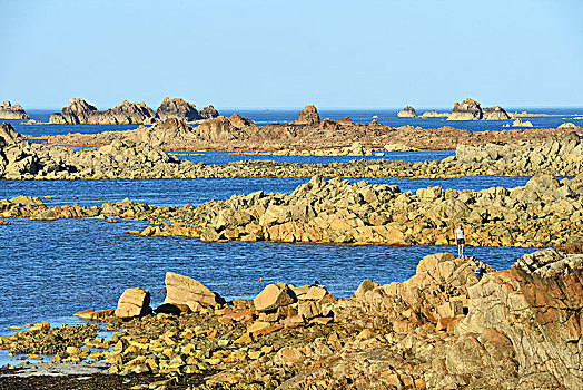 vua san ca