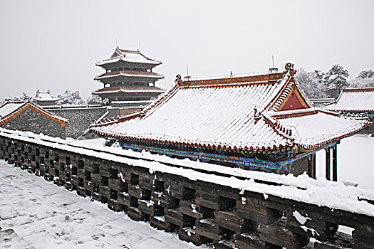 cau hom nay