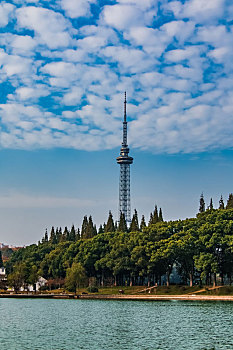 soi cau lô bạch thủ