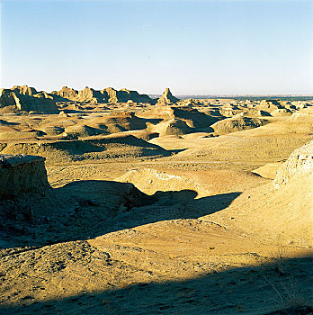 soicau88