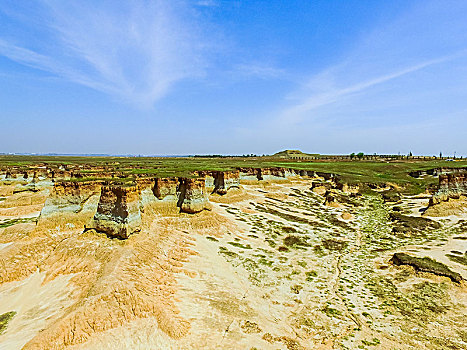 soi cau