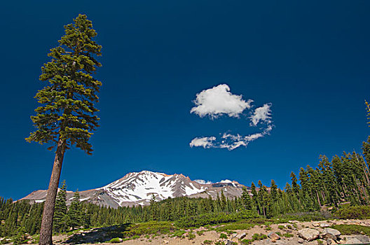 washington casino hotels