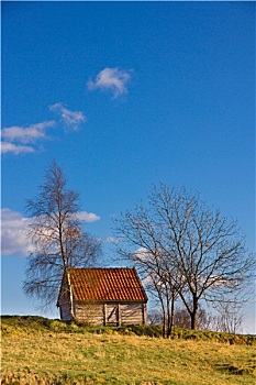 soi câu miên bac