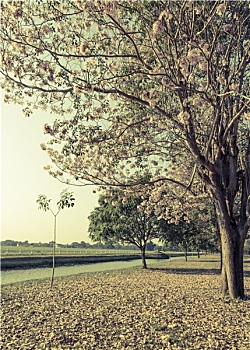 xổ số kiến thiết vĩnh long