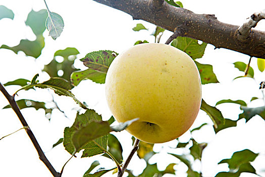 dự đoán xổ số