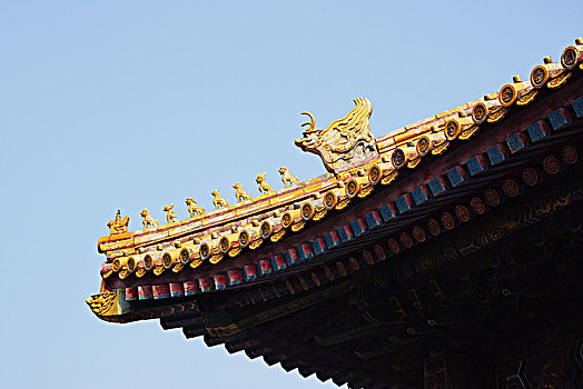 soi cau lo hai nhay rong bach kim