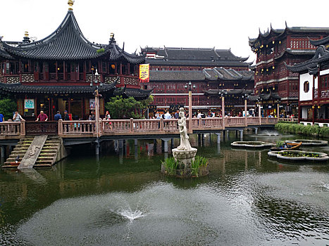 soicau rongbachkim