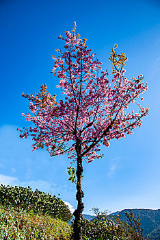 soi cầu xsmb ngày hôm nay