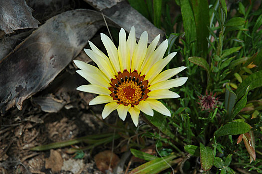 du doan xs mien nam