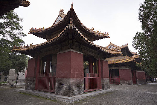 soi cầu 24