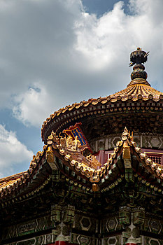 soi cau qtri