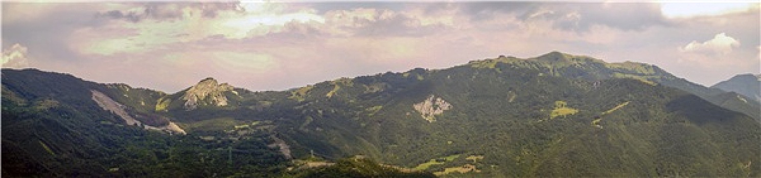 soi cau 24