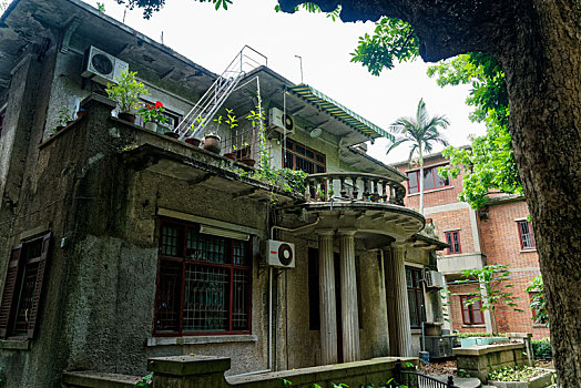 lô đề bạch thủ