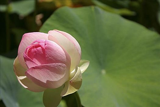 tra cứu xổ số miền bắc