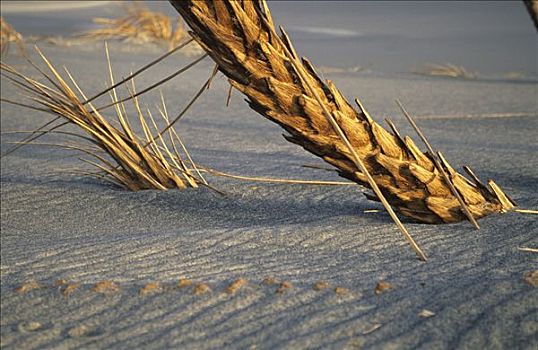 xổ số miền bắc thống kê soi cầu