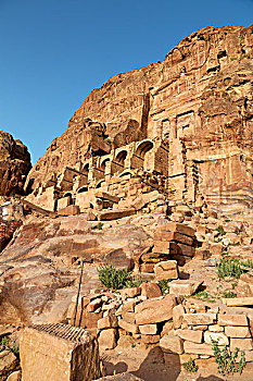 soi rong bach kim