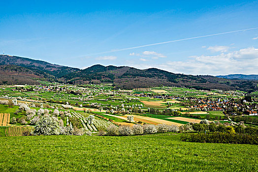 du doan xs bac lieu