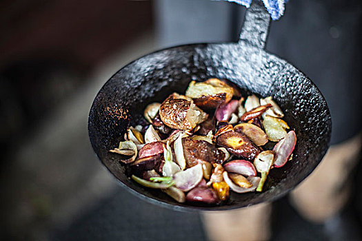 lô bạch thủ miền bắc