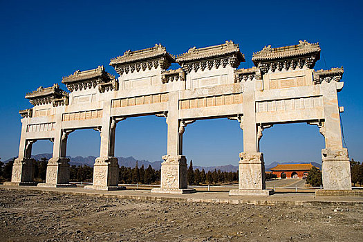 soicau rongbachkim