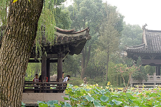 soi cau bạch thu xsmb