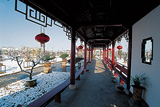 soi cau rong bach kim 666