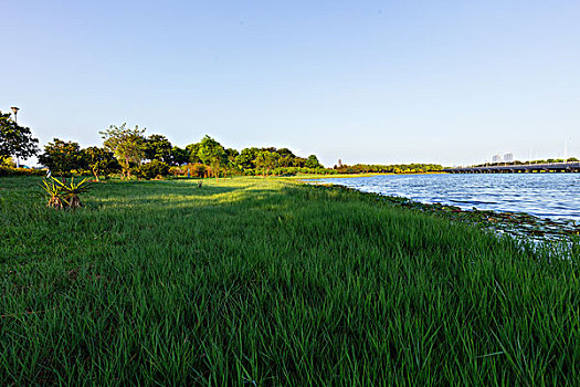 dò vé số