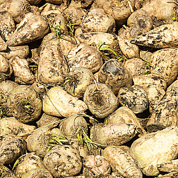xổ số miền nam thứ 4