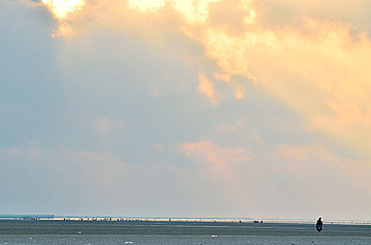 soi cau gio vang