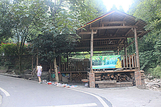 soi cau mjsa