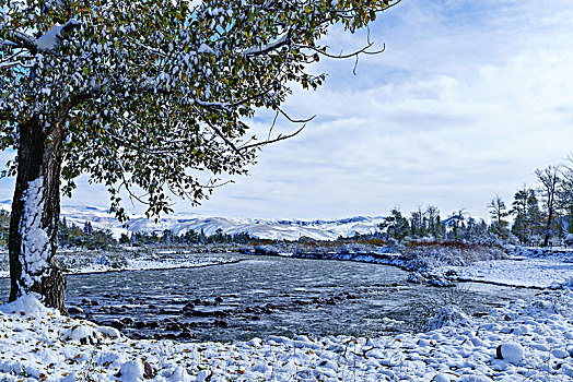 quay số thử