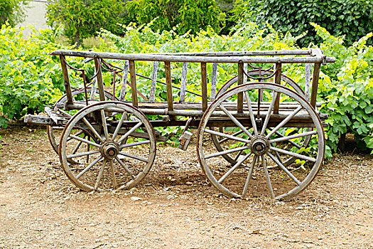 cầu lô đẹp