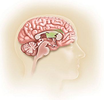 phần mềm lô đề